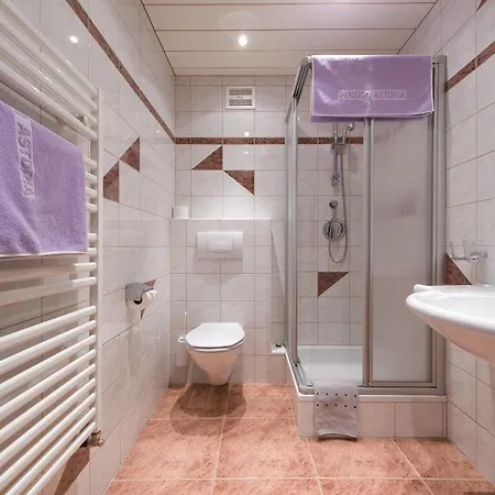 Casa de hóspedes Fruehstueckspension Astoria 3*